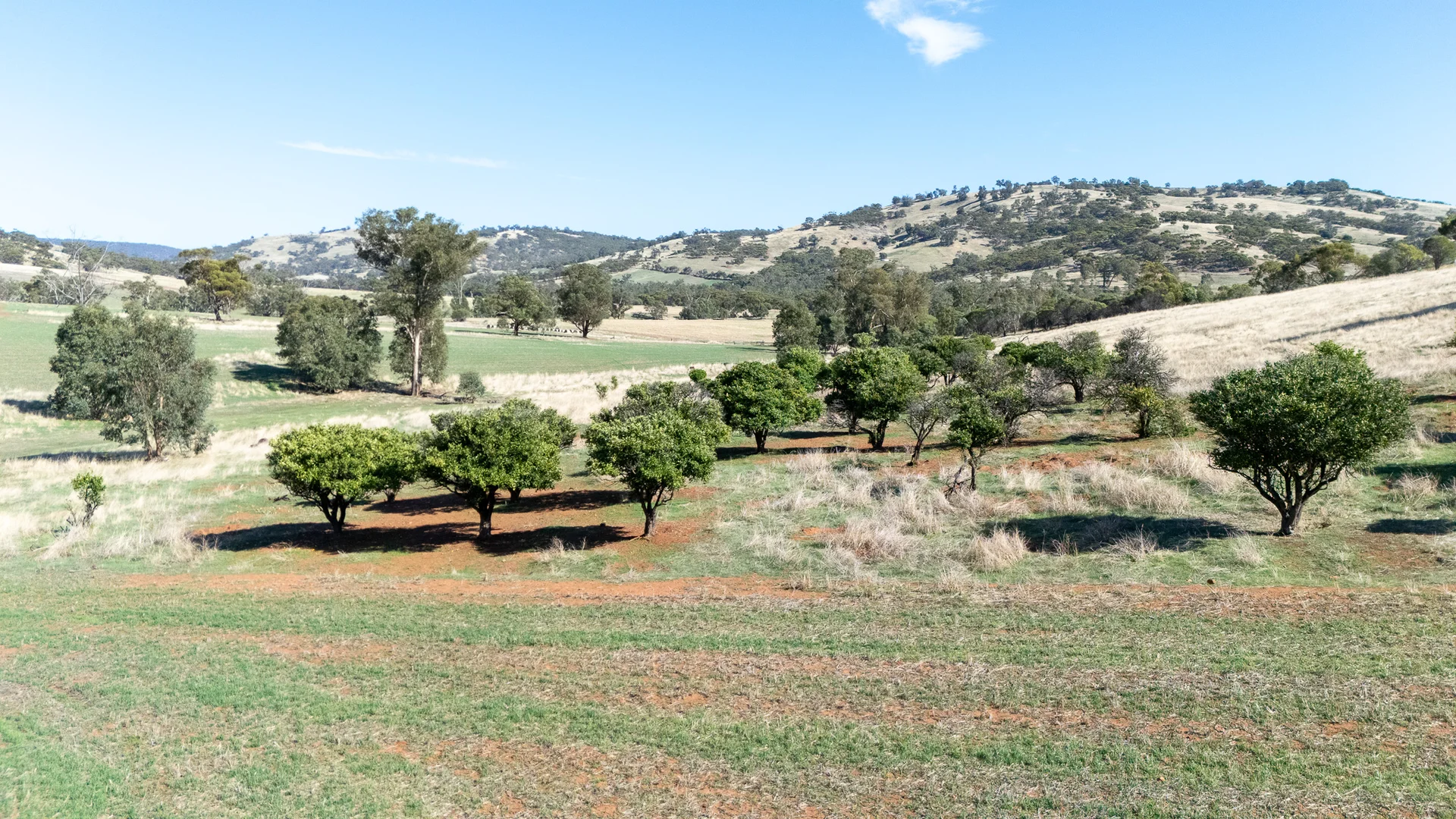 Additional image 11 of 24/543 Folewood Road, Toodyay WA 6566