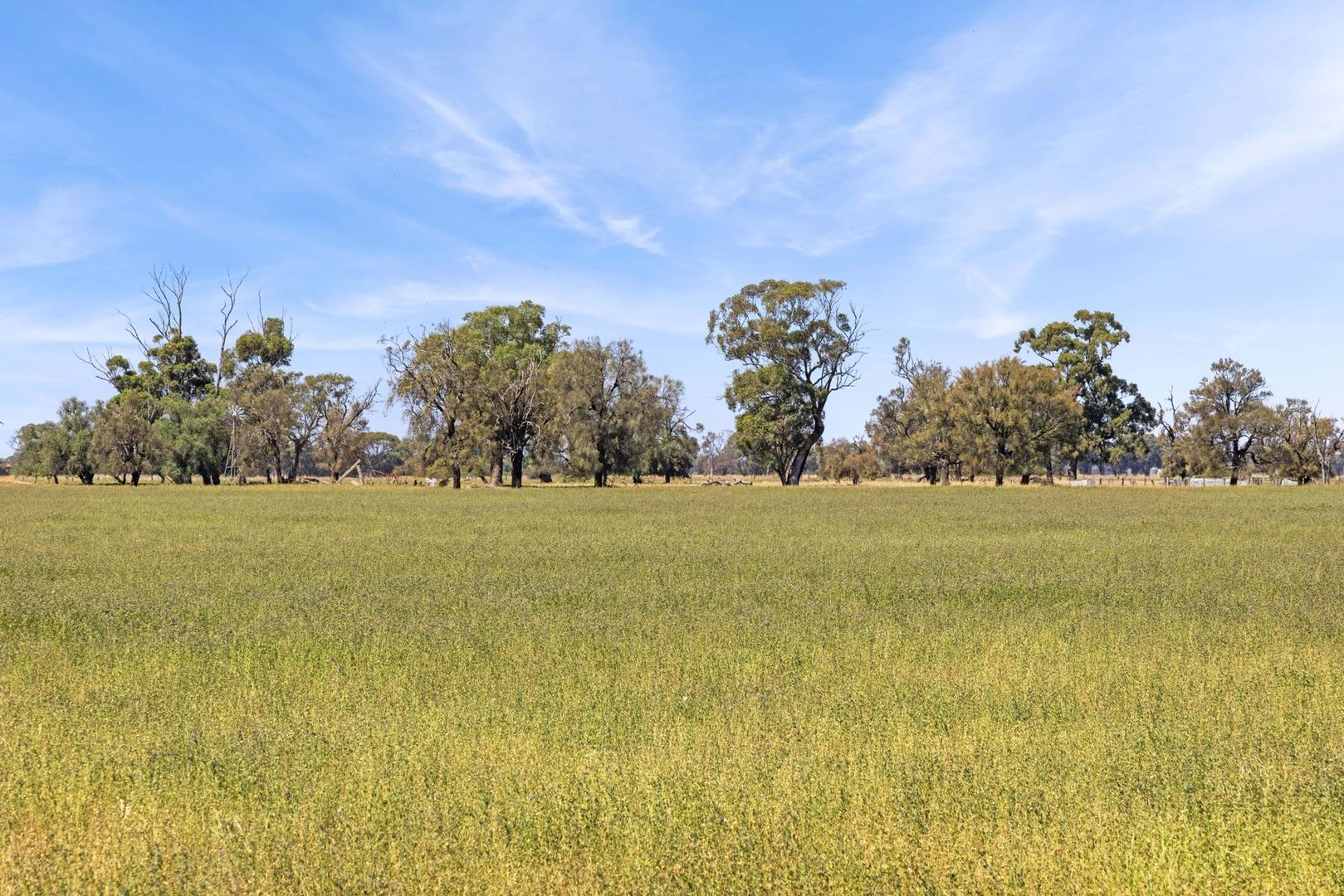 CA 1 Loddon Valley Highway, Yarraberb VIC 3516, Image 1