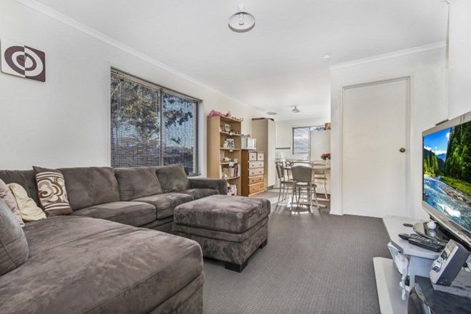 Picture of 1/545 Hargreaves Street, BENDIGO VIC 3550