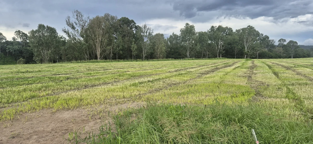 Additional image 3 of Karalee QLD 4306