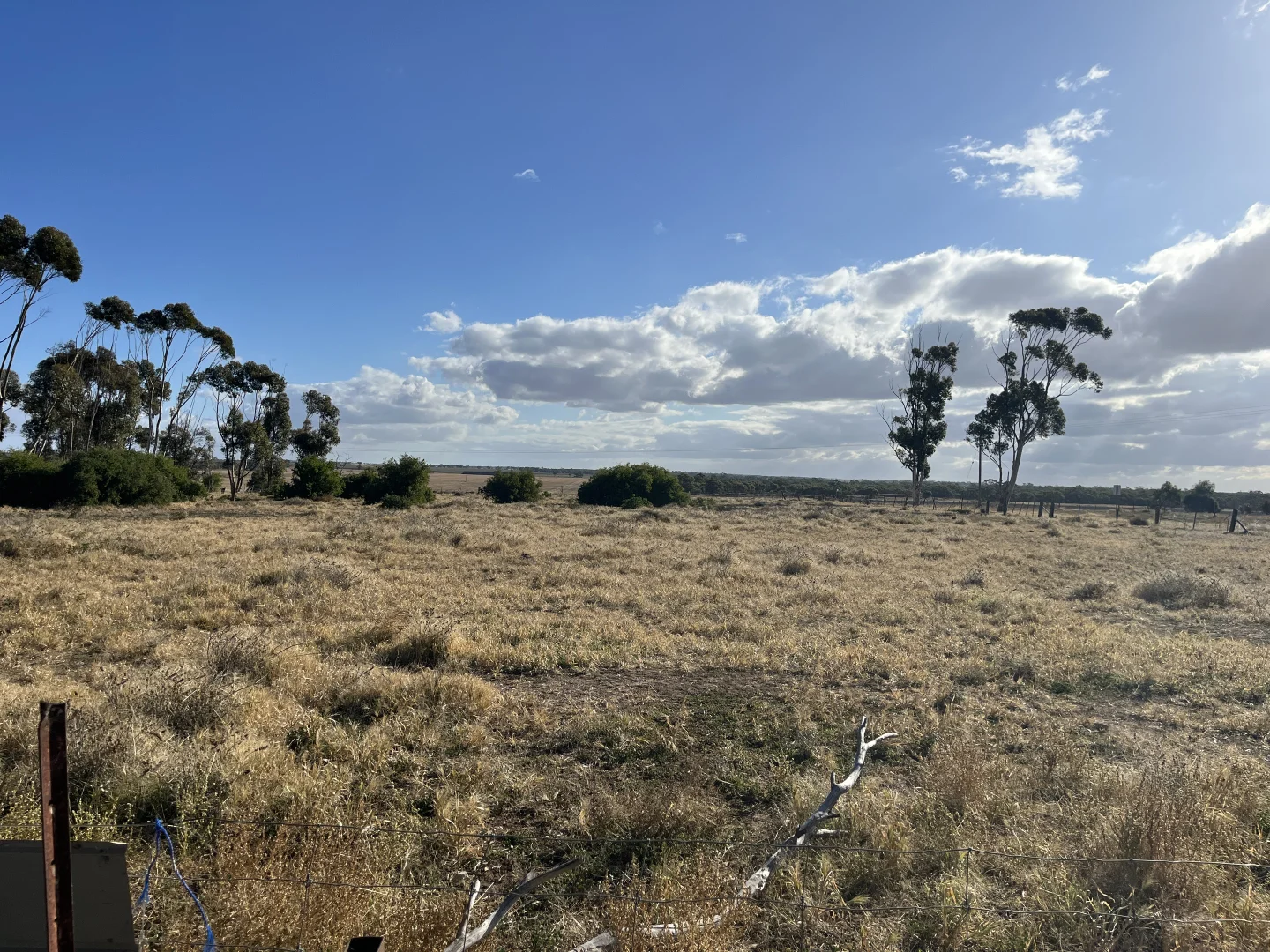 Image 30