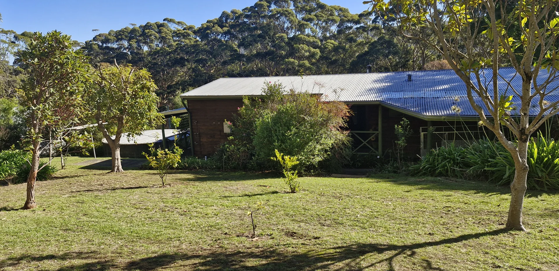 Image 19