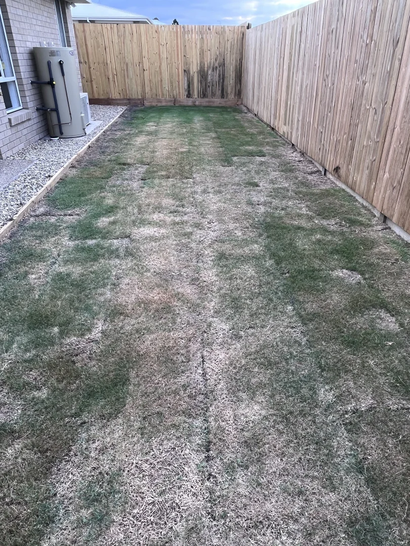 Additional image 21 of 6 River Gum St, Griffin QLD 4503