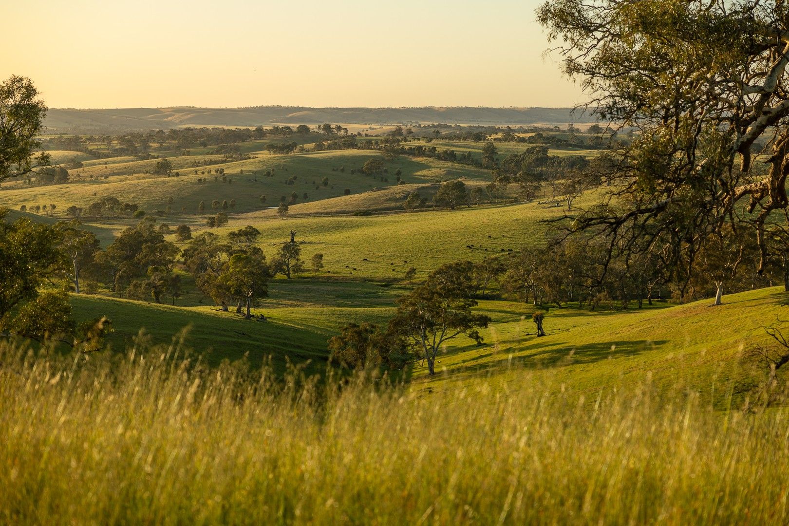 519A Harrogate Road, Harrogate SA 5244 House for Sale Domain