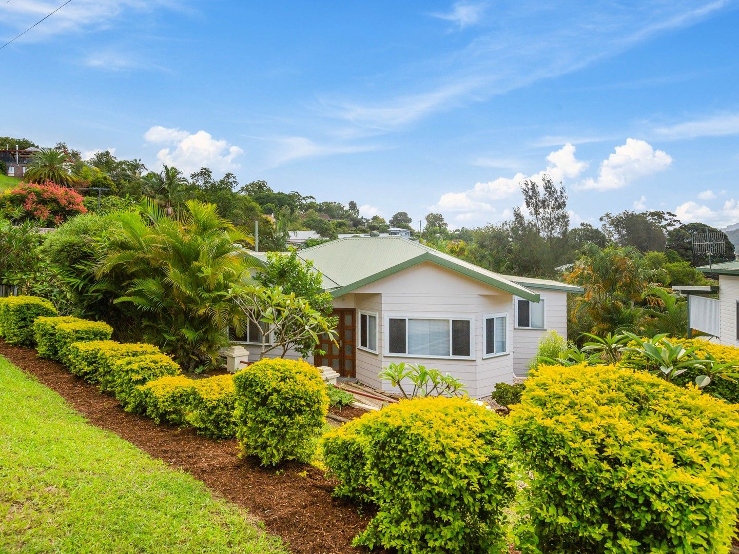 37 MYRTLE STREET, Murwillumbah NSW 2484, Image 0