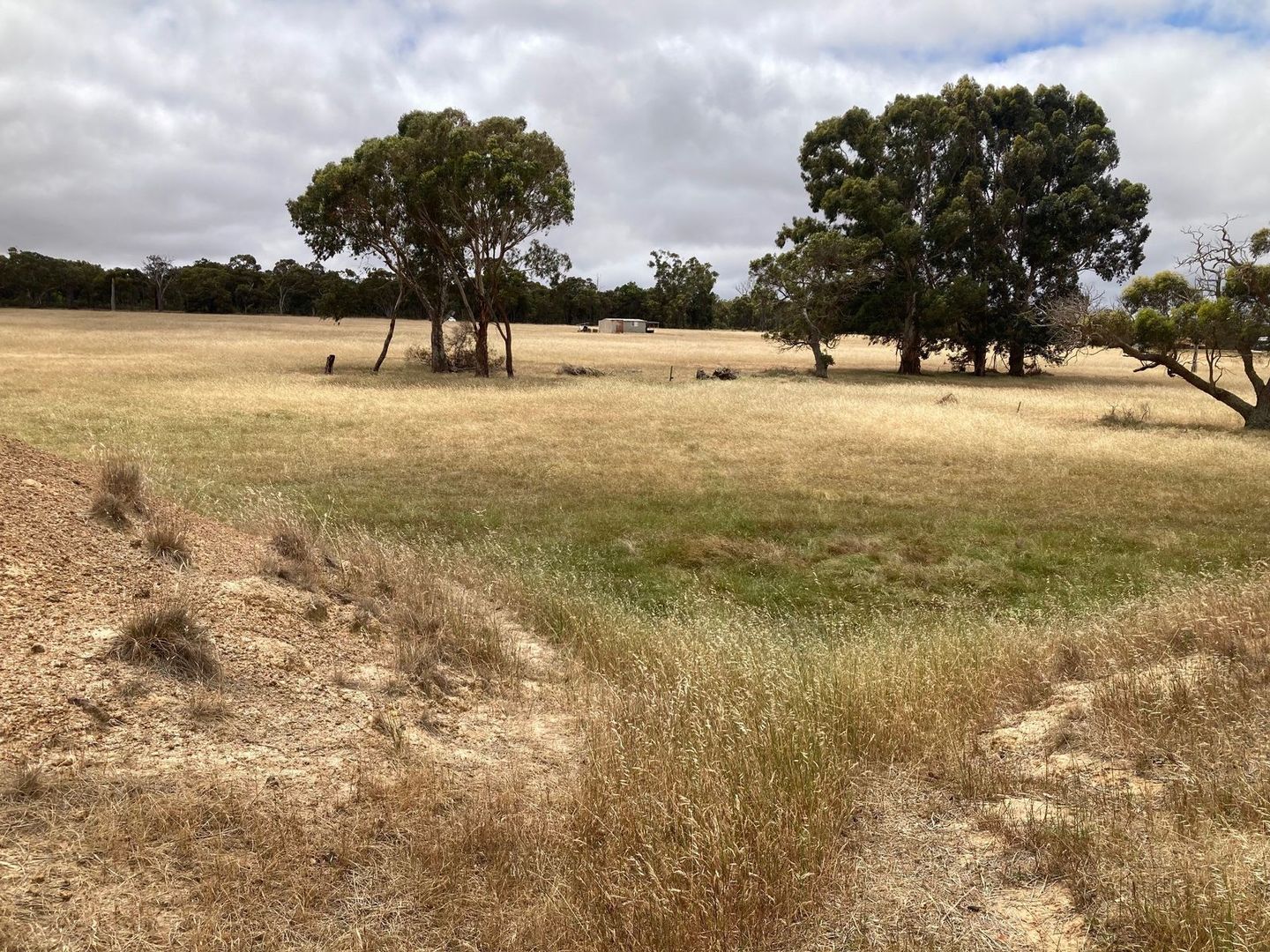 Lot 518 Carbarup Road, Kendenup WA 6323 Vacant Land for Sale 530,000