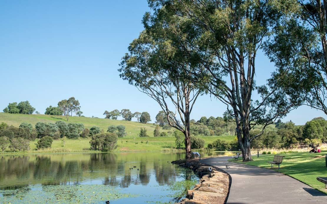 71 Springs Road, Spring Farm NSW 2570 Domain