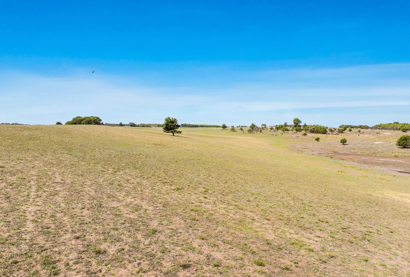 Additional image 5 of 56 Barton Road, Hindmarsh Island SA 5214