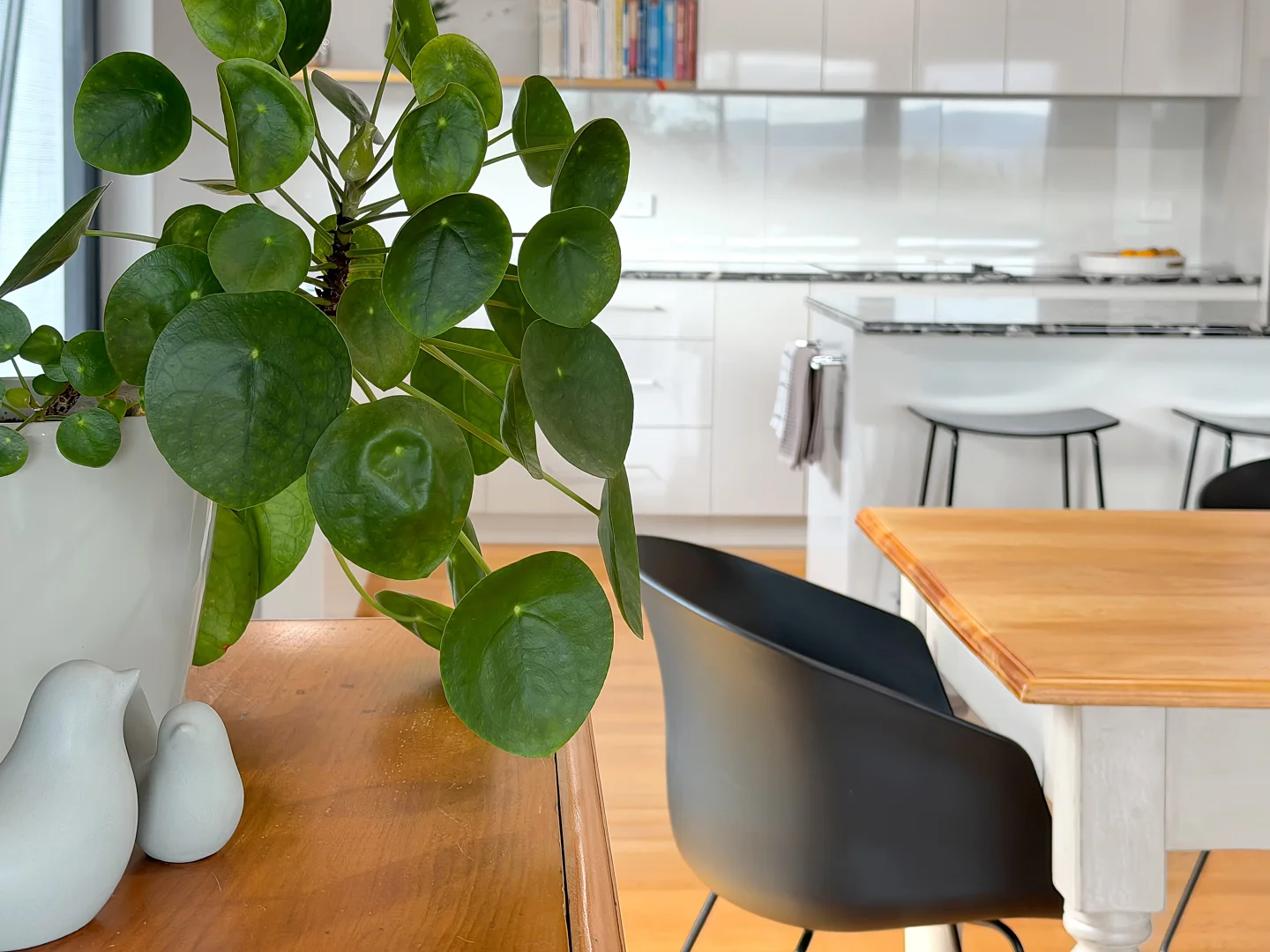 Additional image 11 of 42 Gardiners Creek Road, St Marys TAS 7215