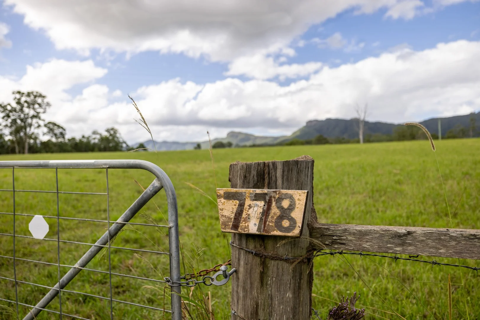 778 Central Lansdowne Road, Upper Lansdowne NSW 2430