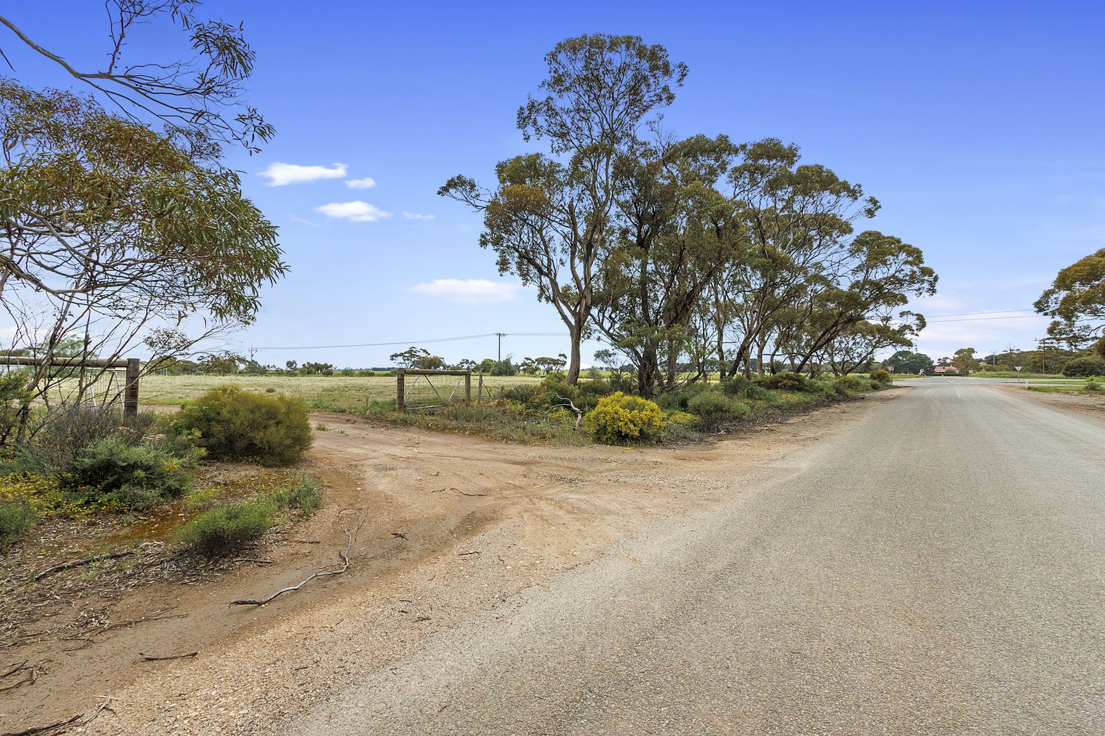 101 Wray Road, Owen SA 5460, Image 2