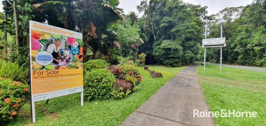 1498 Cape Tribulation Road, Cow Bay (FLORAVILLA), Daintree QLD 4873, Image 0