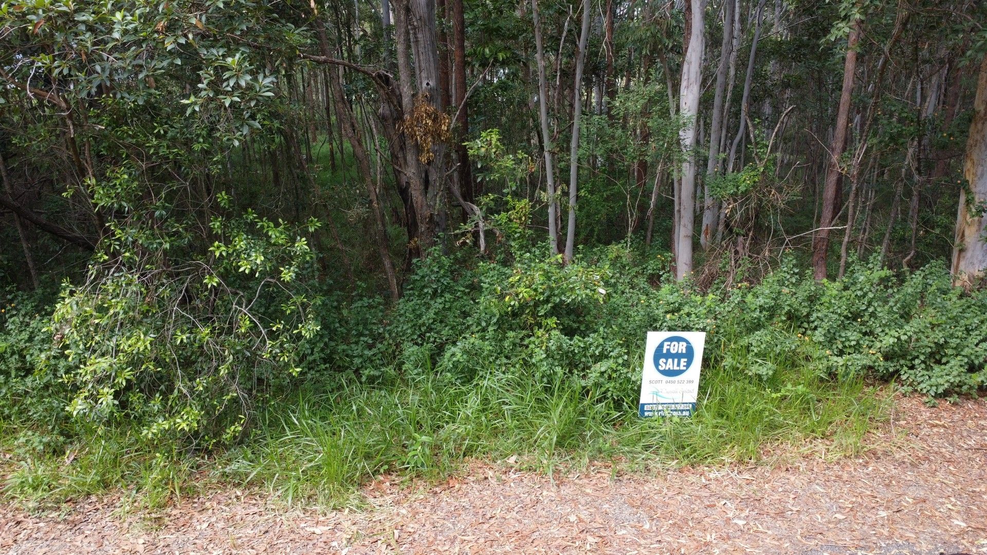 Vacant land in 12 Murray Crescent, RUSSELL ISLAND QLD, 4184