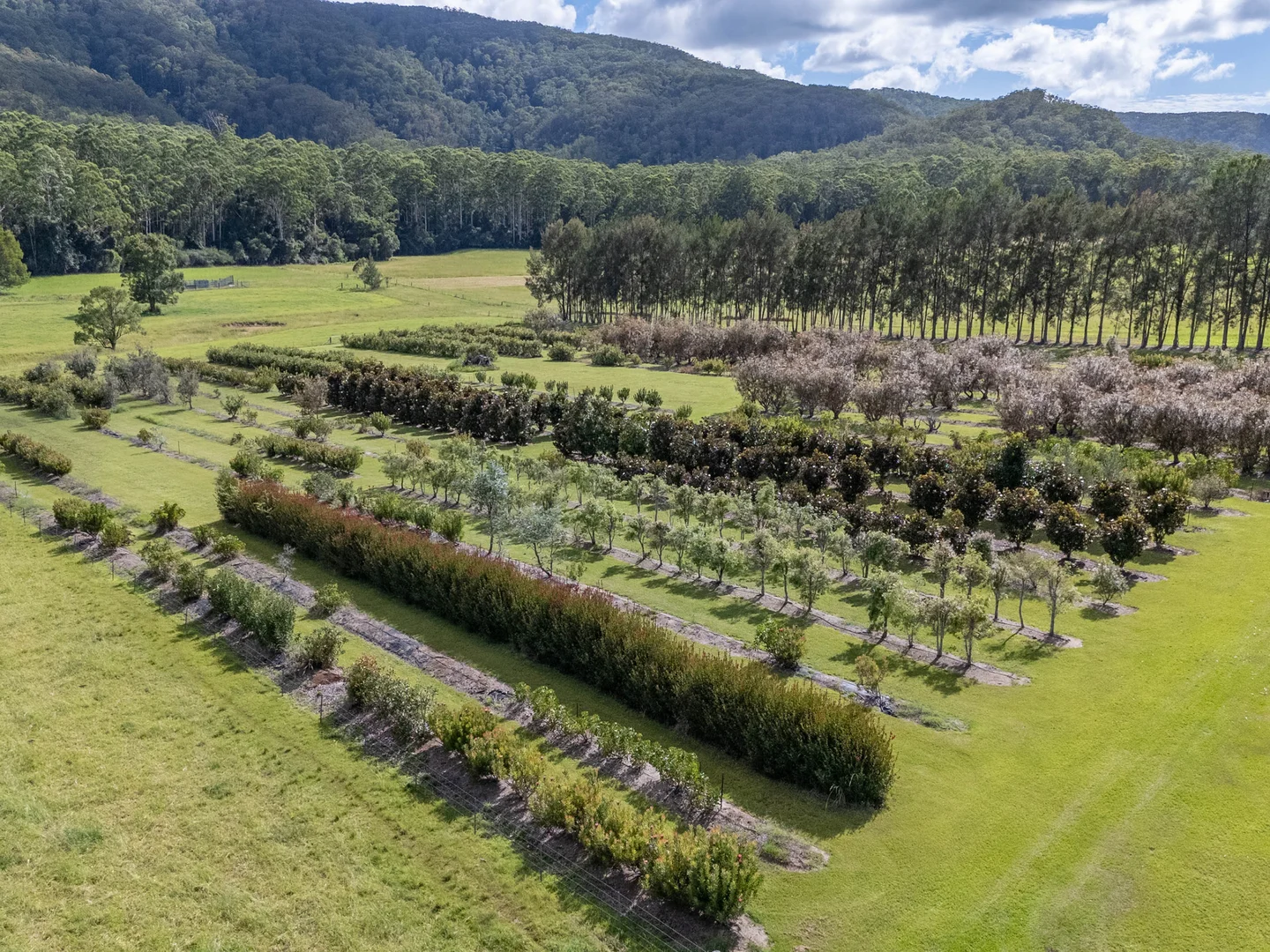 Additional image 27 of 190D McClellands Road, Bucca NSW 2450