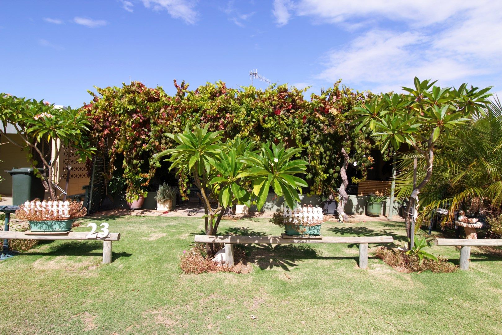 23 Queen Elizabeth Drive, Barmera SA 5345, Image 0