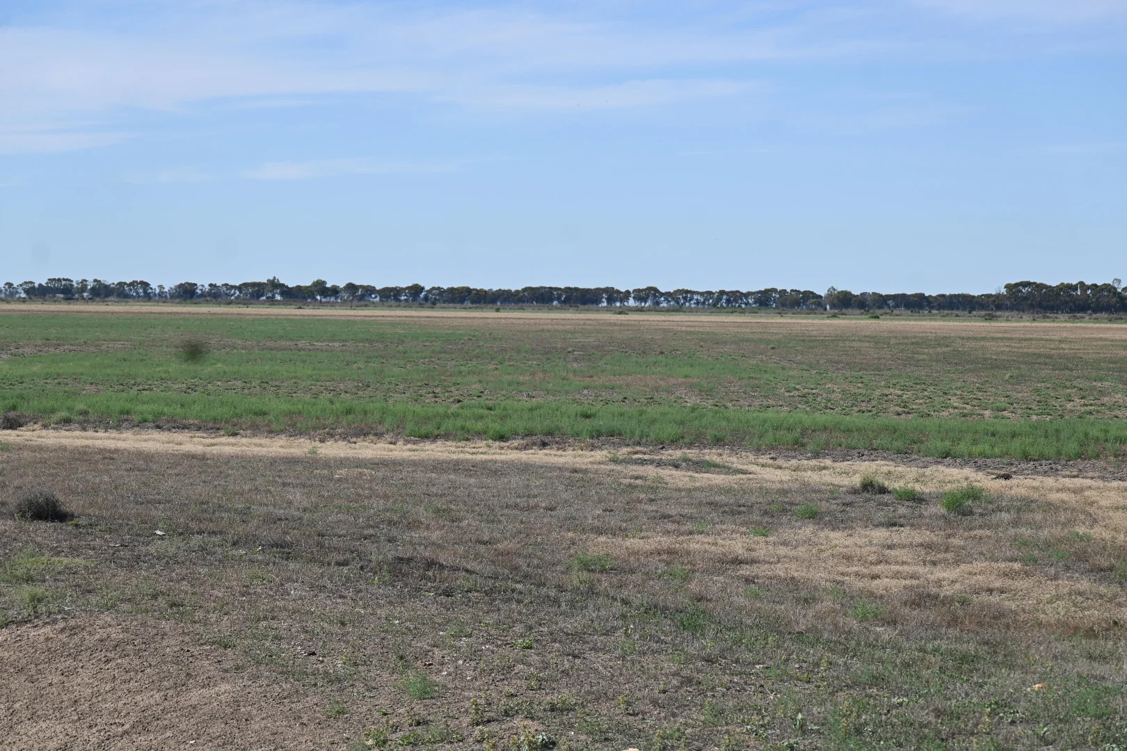 Image 35
