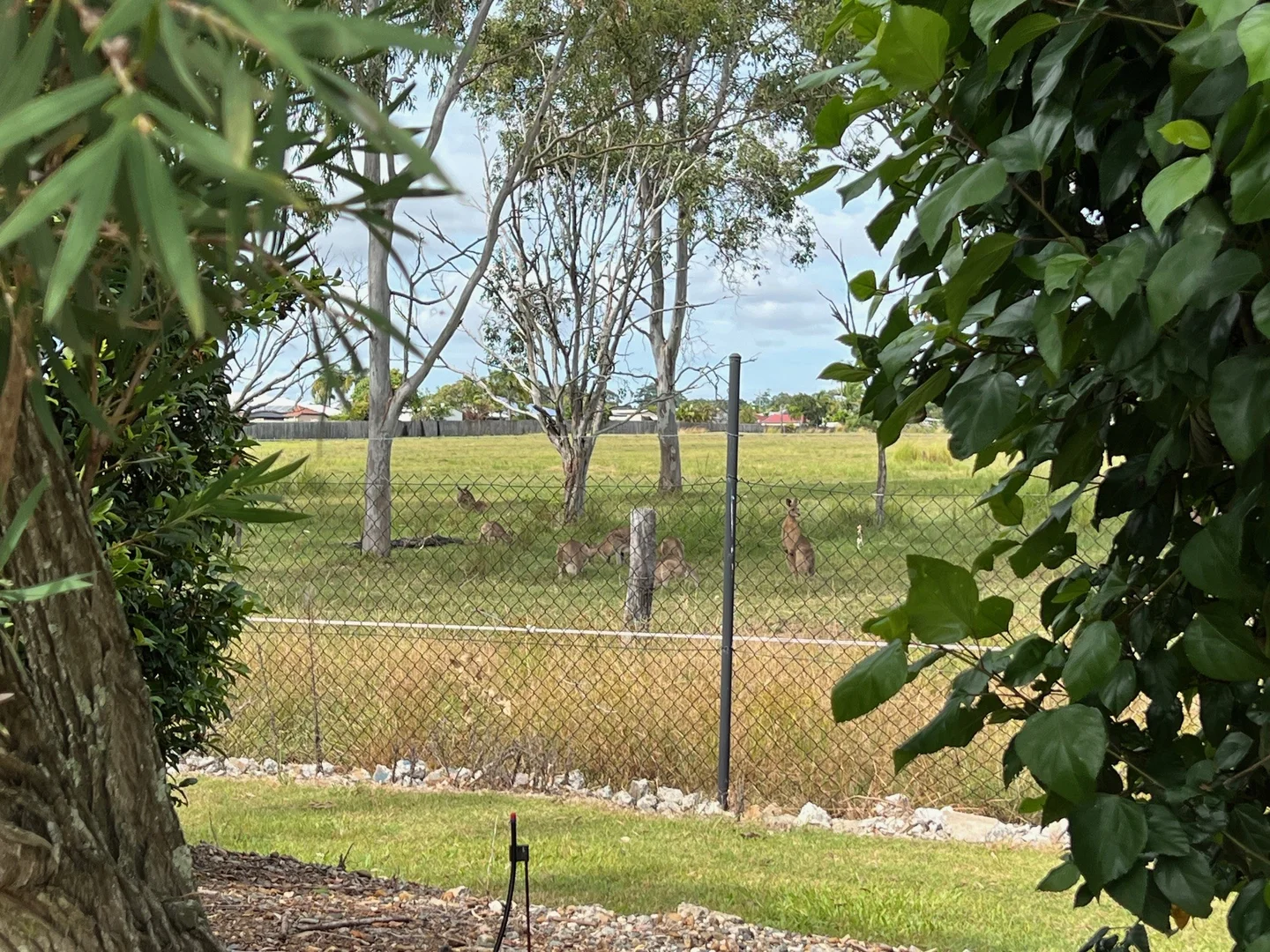 Additional image 22 of 7 Bay Drive, Urraween QLD 4655