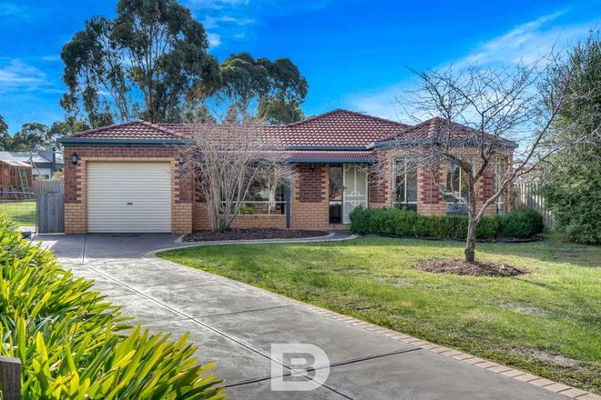Picture of 6 Candlebark Court, RIDDELLS CREEK VIC 3431
