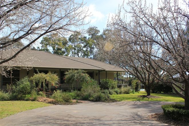 Picture of 20 Macquarie Drive, MUDGEE NSW 2850