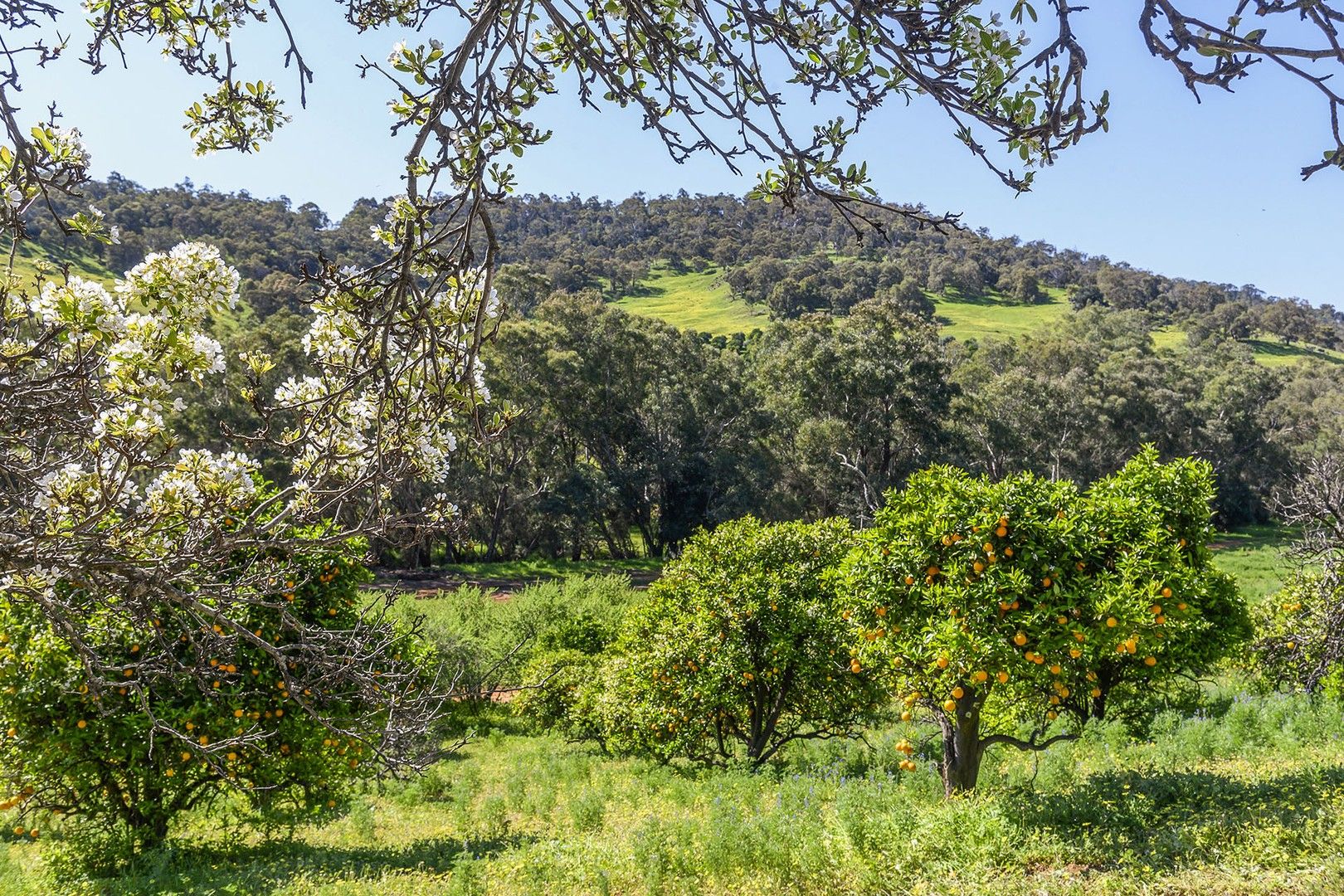 330 Chittering Valley Road, Lower Chittering WA 6084 House for Sale