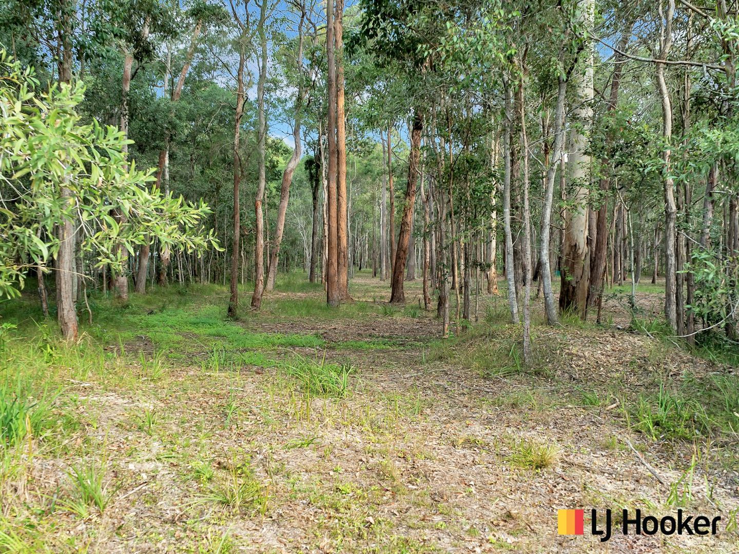 Lot 3 Gardiners Road, James Creek NSW 2463, Image 1