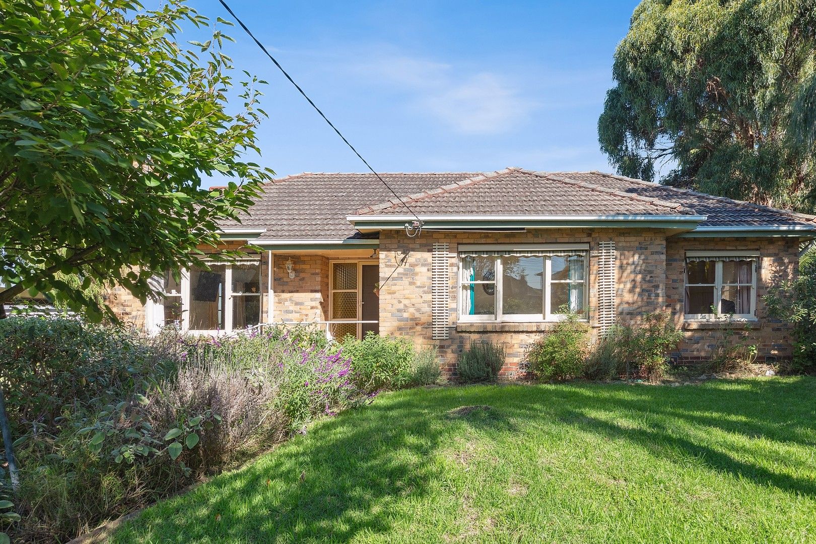 8 Kingswood Road, Cheltenham VIC 3192, Image 0