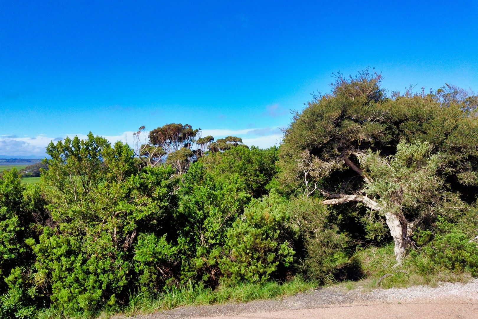 Vacant land in 91 Harbour View, SANDY POINT VIC, 3959