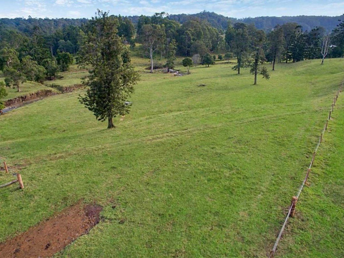 Lot 13, 21 Grimstons Road, Theresa Creek NSW 2469, Image 1