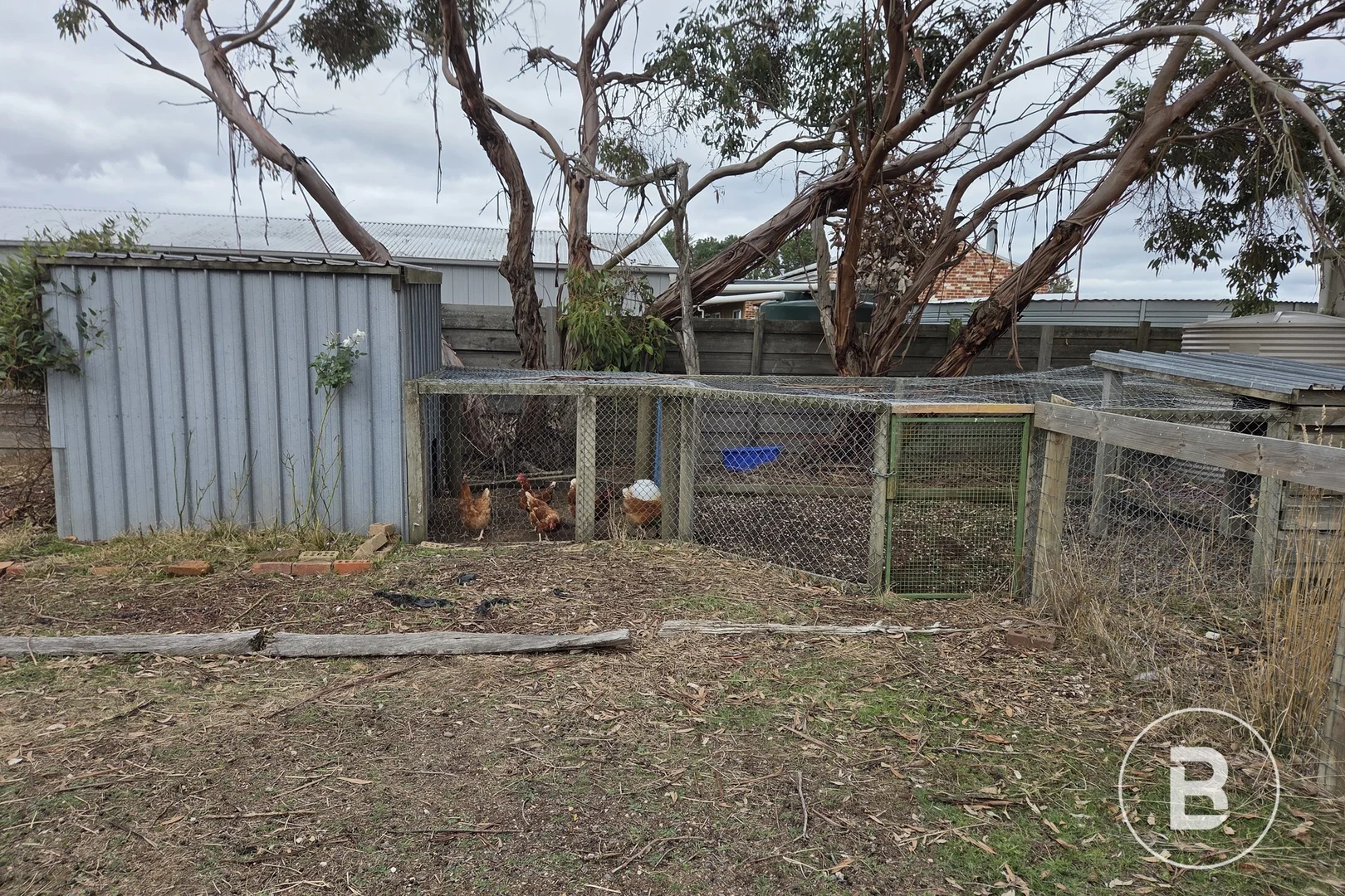 Image 16