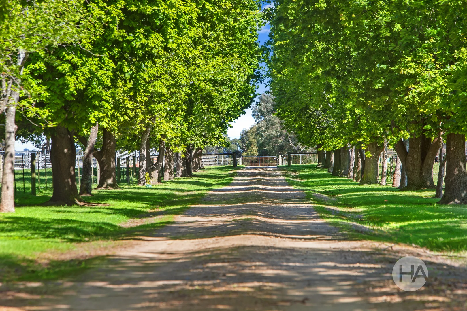 Additional image 17 of 155 Stumpy Gully Road, Balnarring VIC 3926