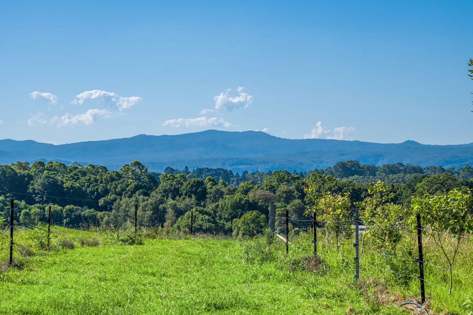 Additional image 19 of 79 Johnston Road, Clunes NSW 2480