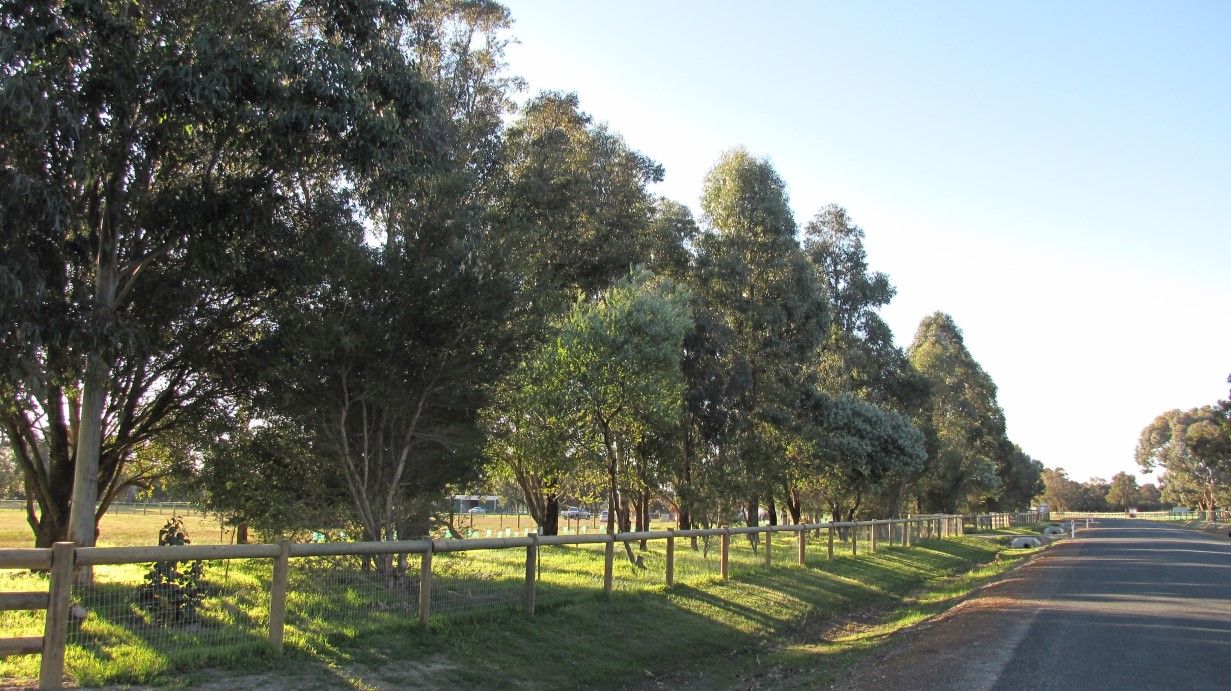 61 (Lot 91) Avoca Retreat, North Dandalup WA 6207, Image 0