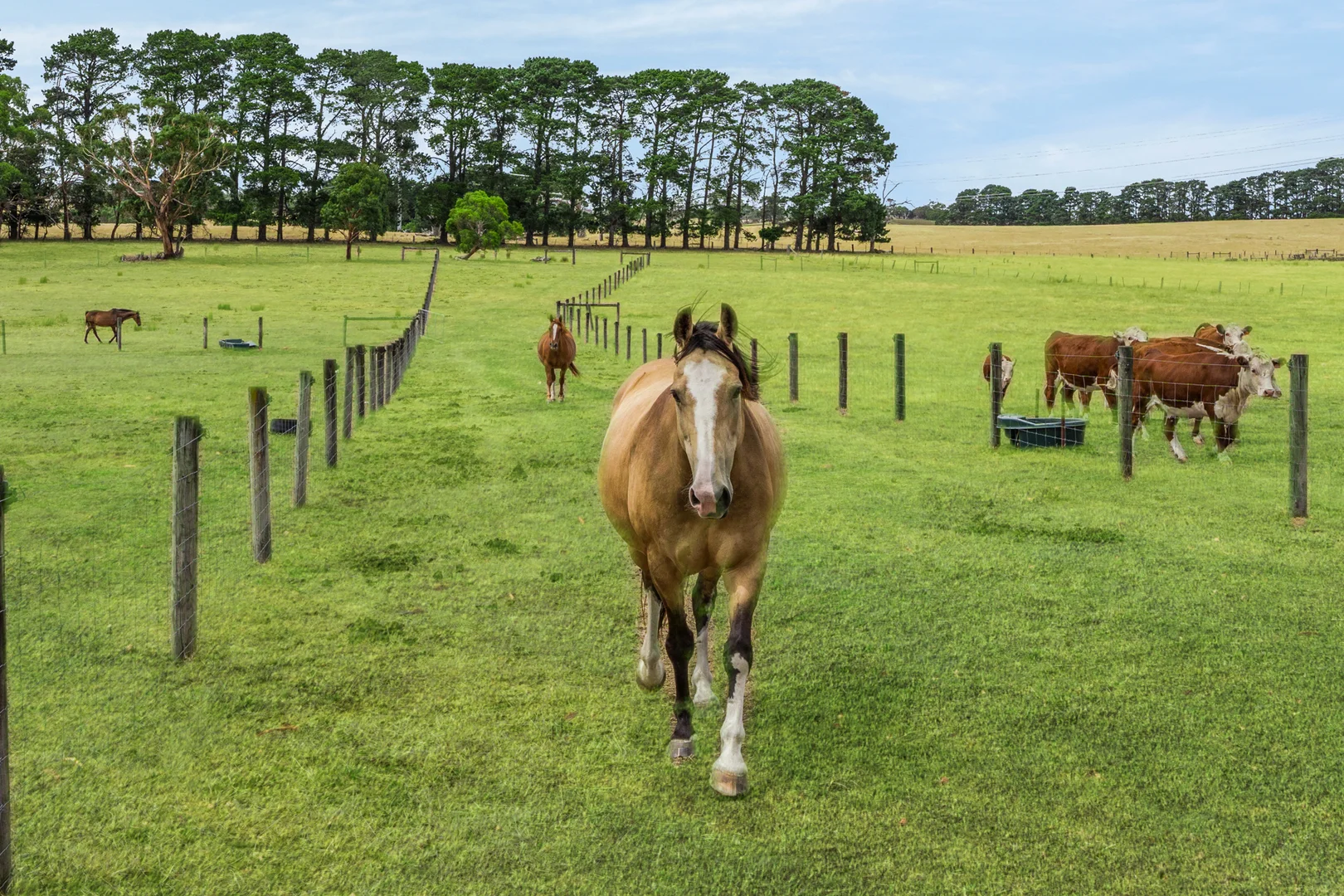 Additional image 13 of 324 Elaine-Egerton Road, Elaine VIC 3334