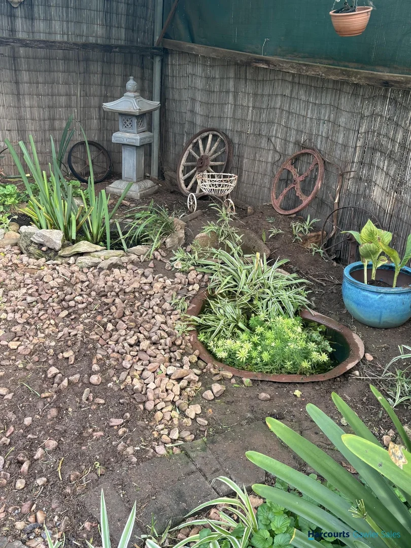 Image 15