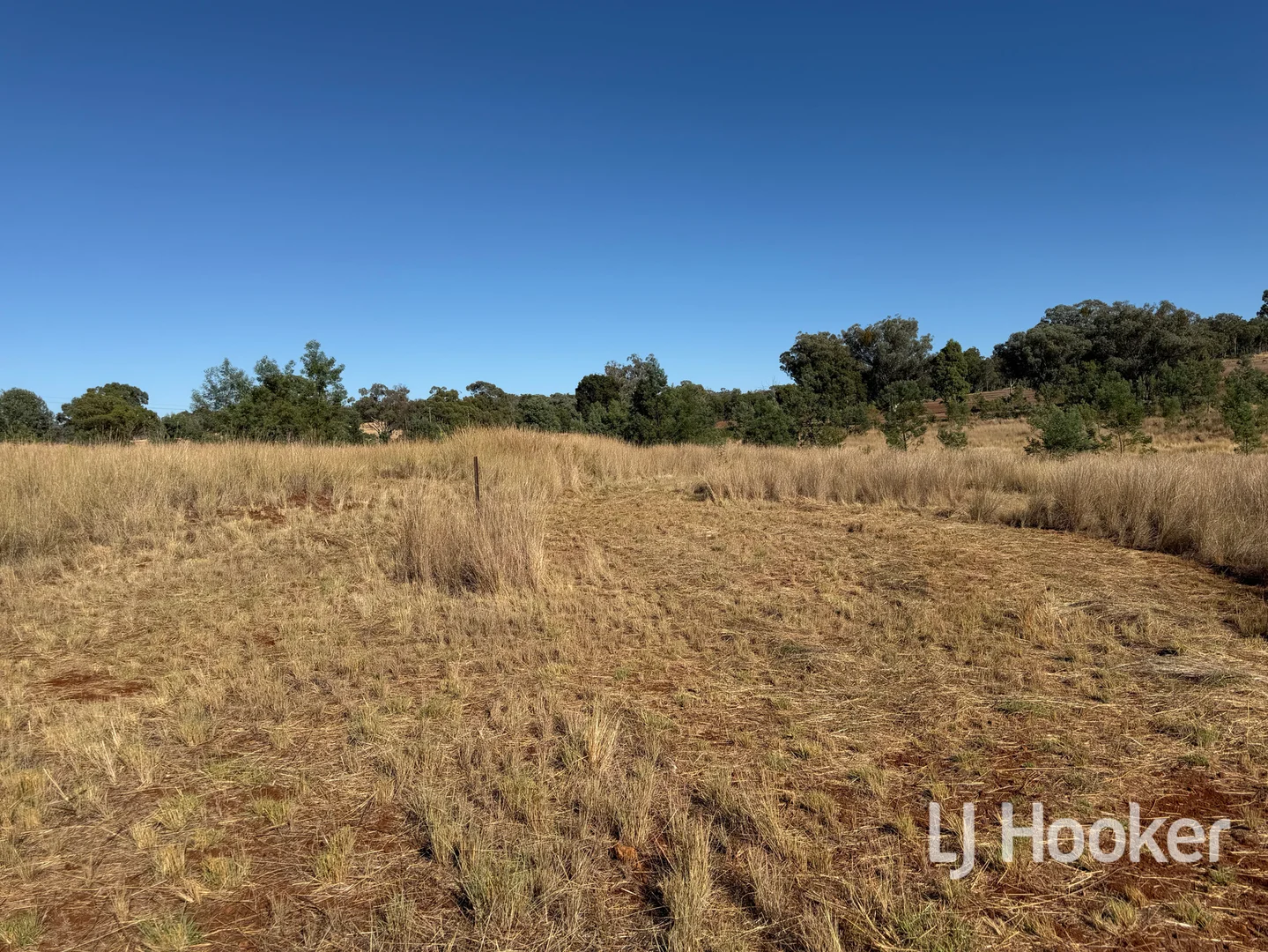 Additional image 17 of Gwydir Highway, Inverell NSW 2360