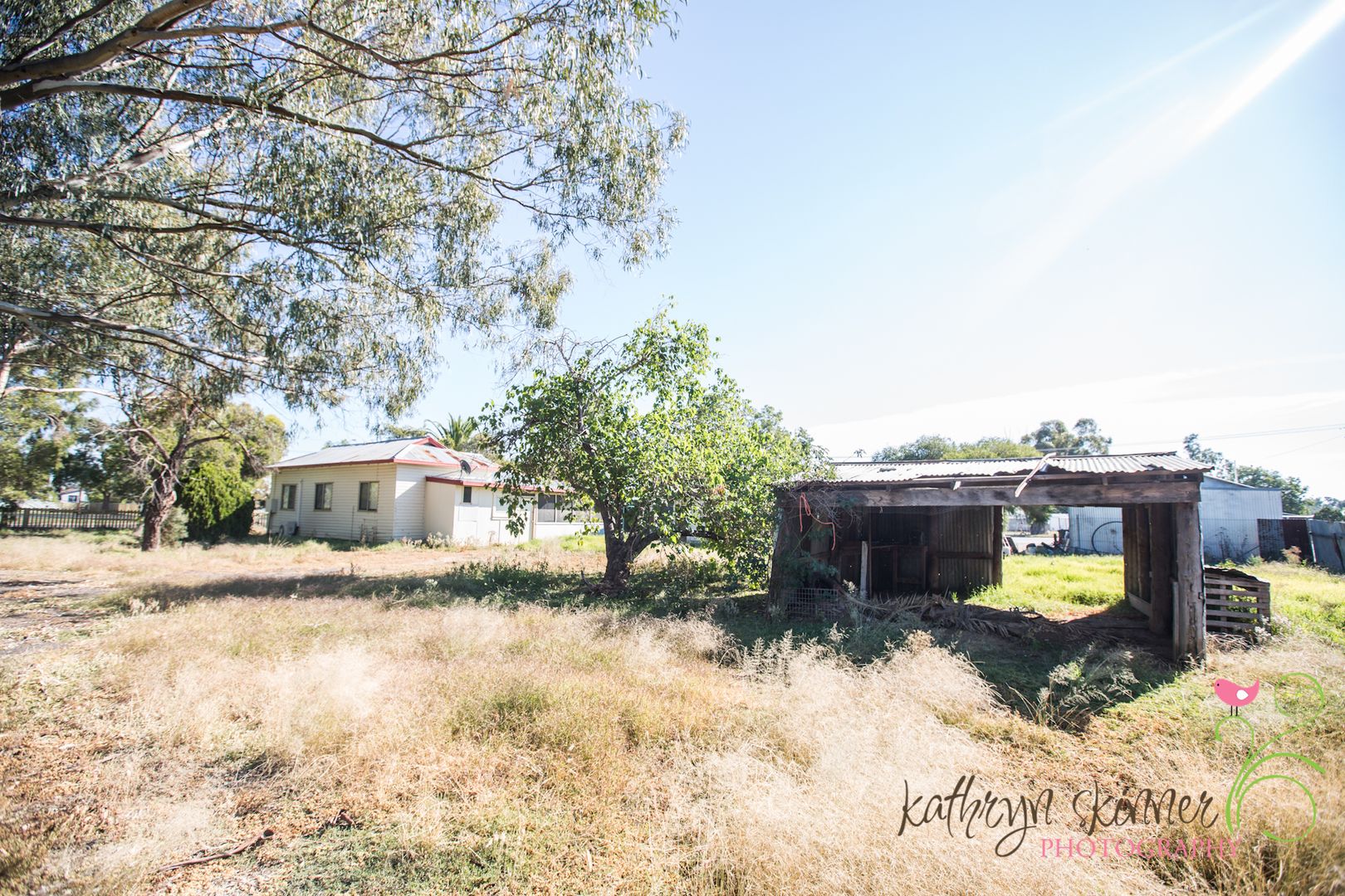 2325 Coonamble St, Gulargambone NSW 2828 Domain