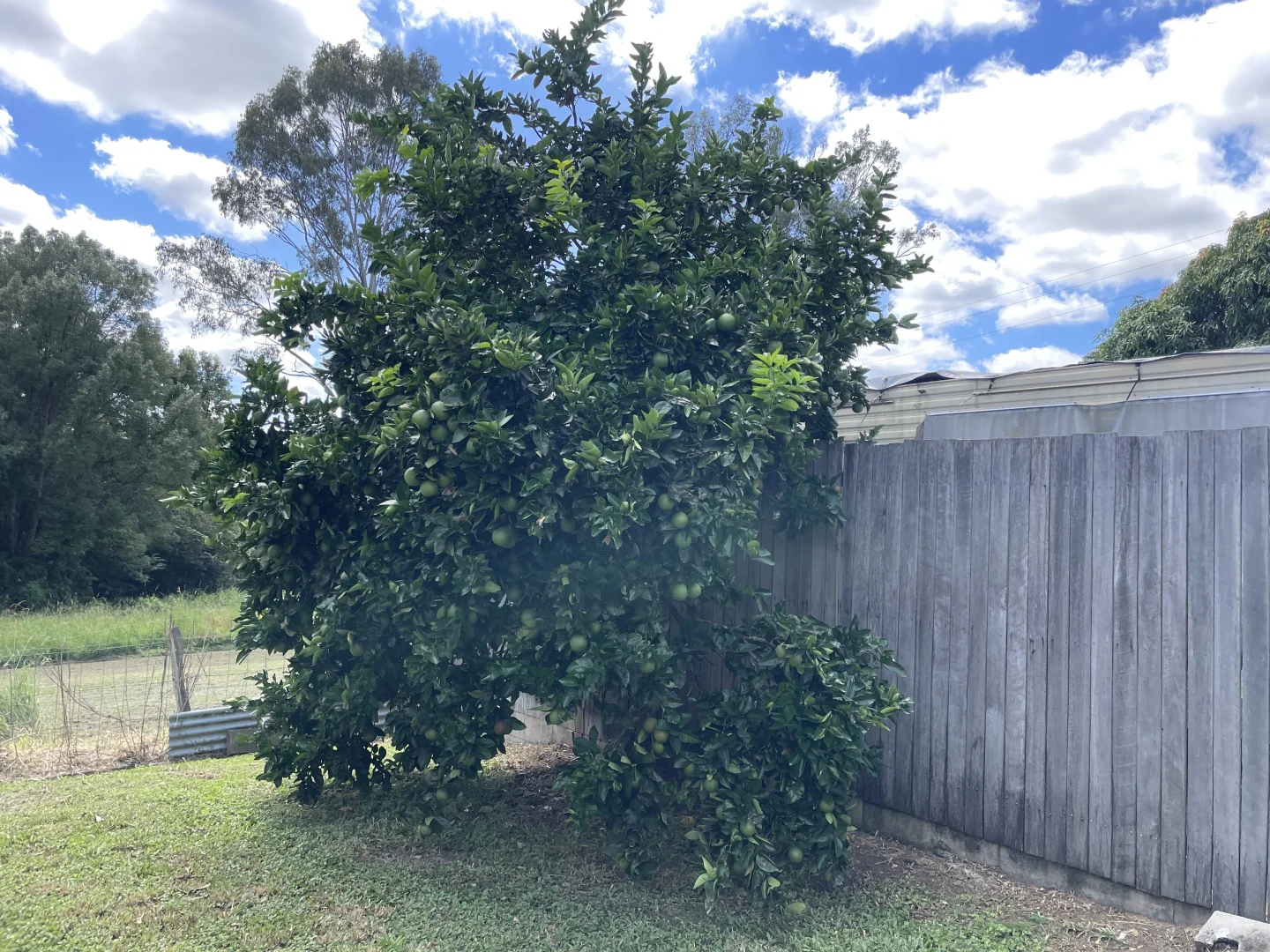 Additional image 25 of 75A Main Street, Kandanga QLD 4570