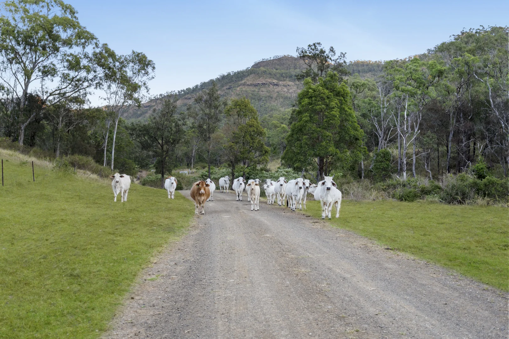 Image 13