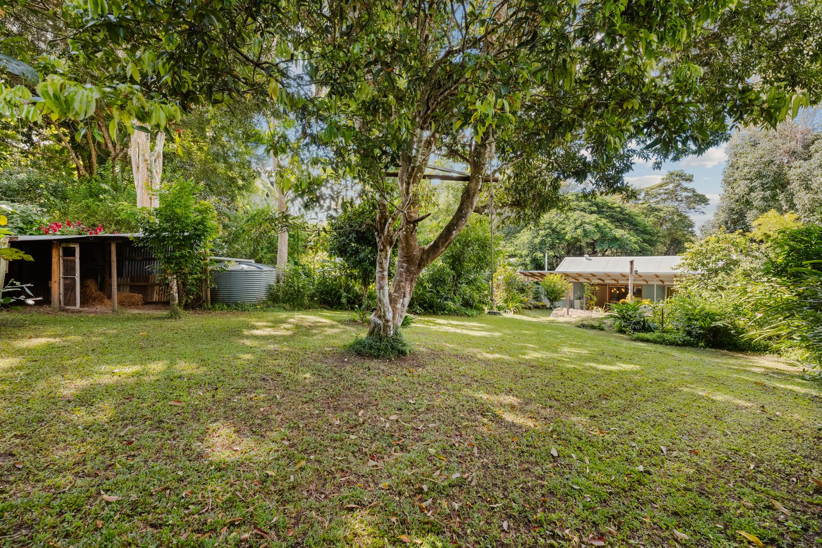 21 Scrub Street, Kuranda QLD 4881, Image 1