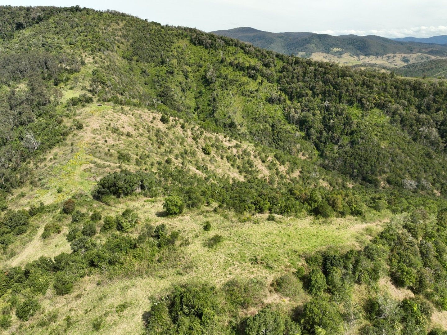 219 Beetons Road, Caffreys Flat NSW 2424 Vacant Land for Sale