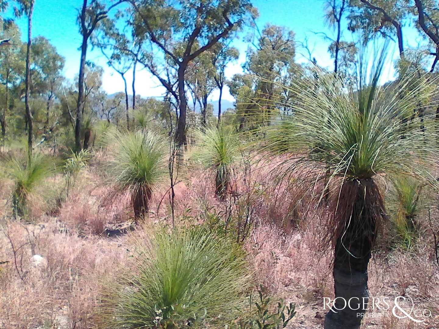 Lot 8/104 Cascade Close, Mutchilba QLD 4872, Image 2