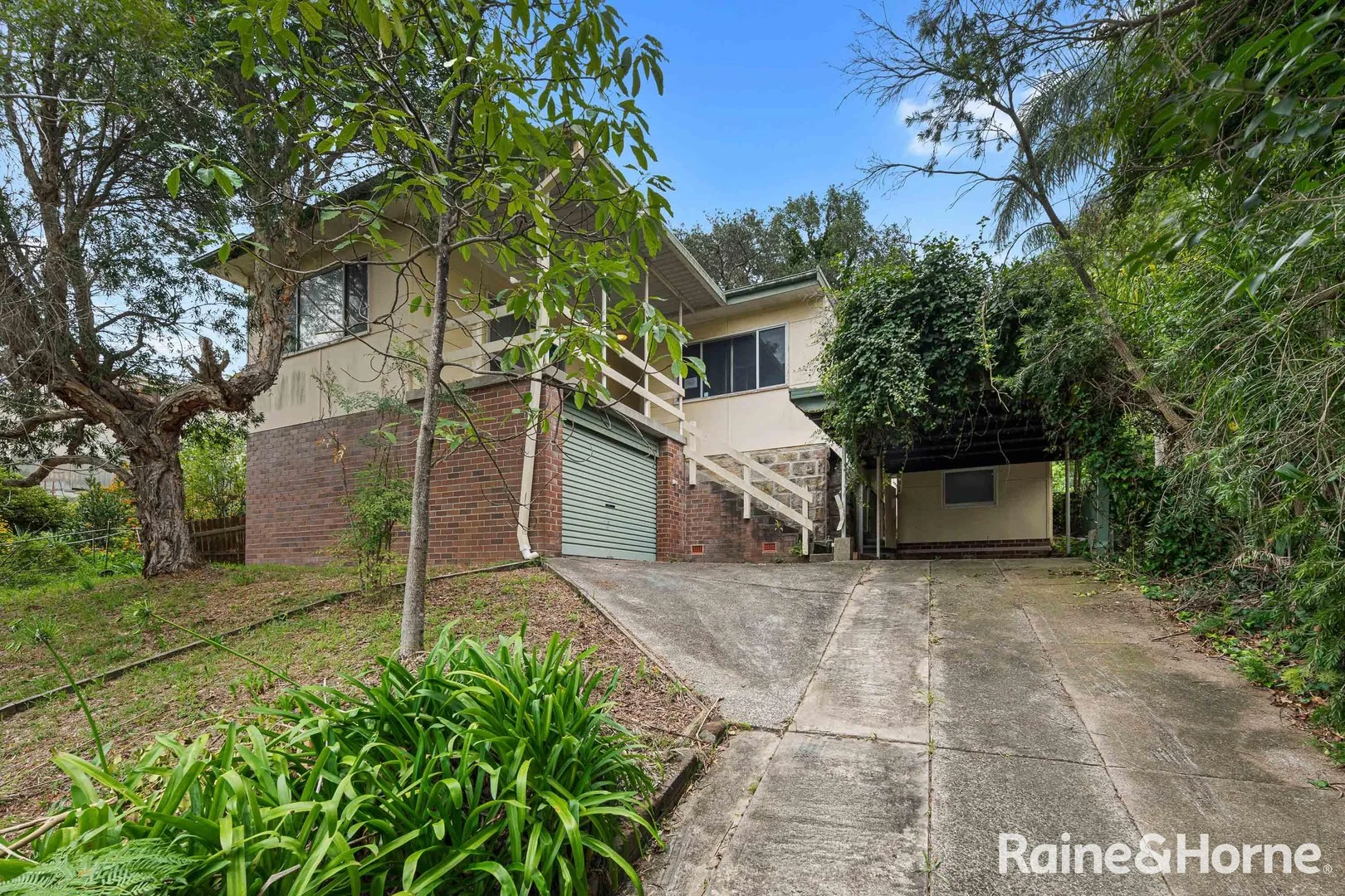 23 Canonbury Grove, Bexley North NSW 2207