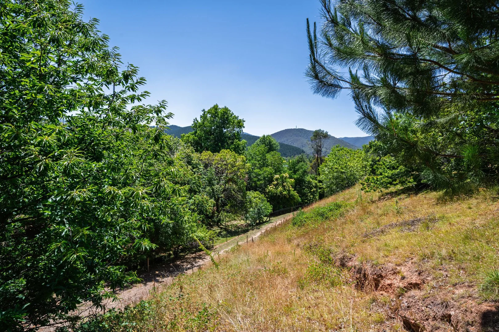 Additional image 31 of 1 James Close, Bright VIC 3741