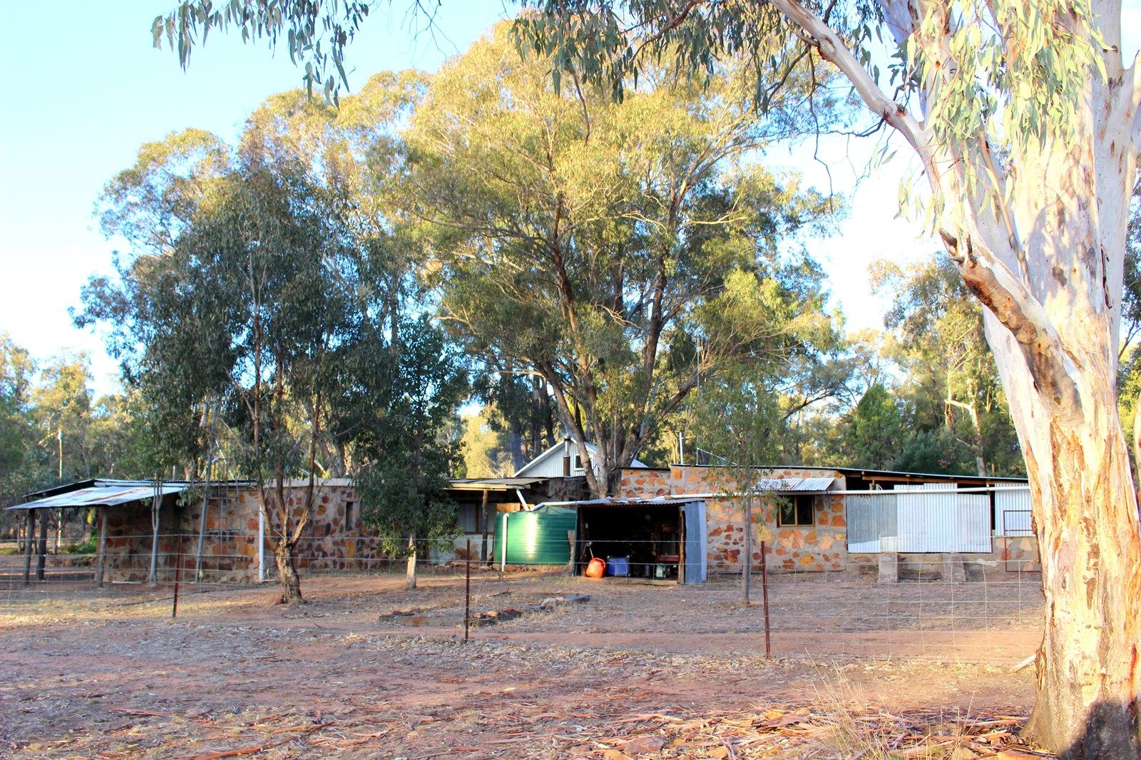 19L Spicers Creek Rd, Elong Elong NSW 2831, Image 1