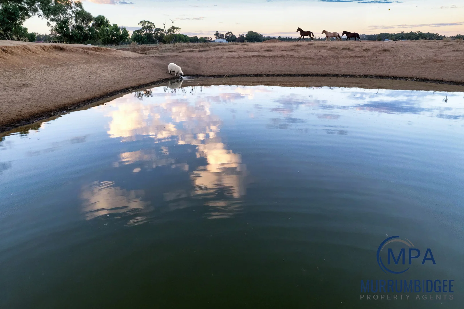 Additional image 4 of 1845 Lonnie Road, Leeton NSW 2705