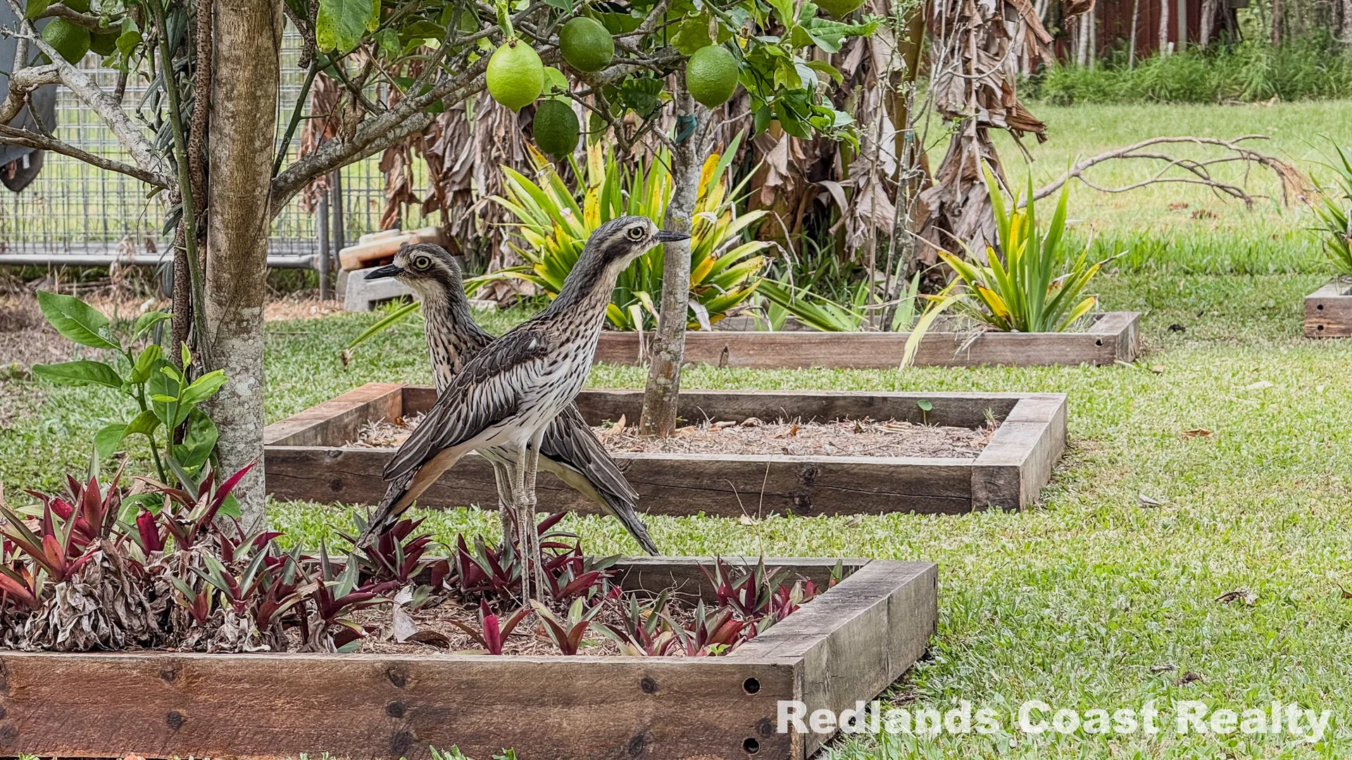 Additional image 31 of 30 Paula Parade, Lamb Island QLD 4184