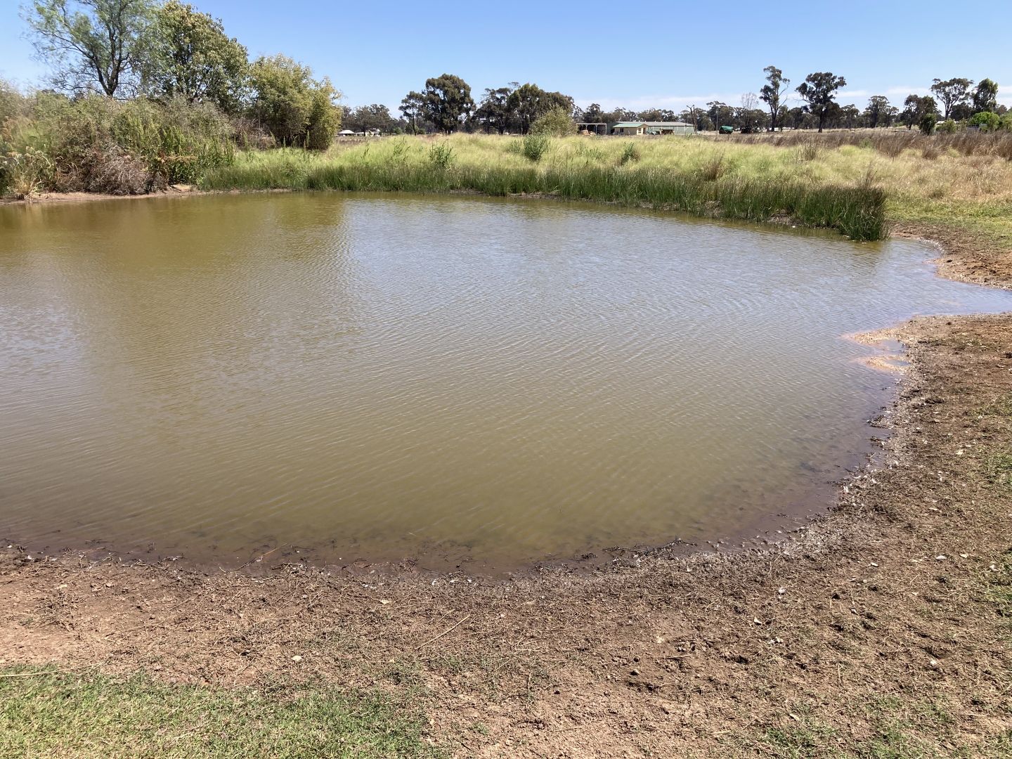 Lot 1137 Mansfield Road, Temora NSW 2666, Image 2