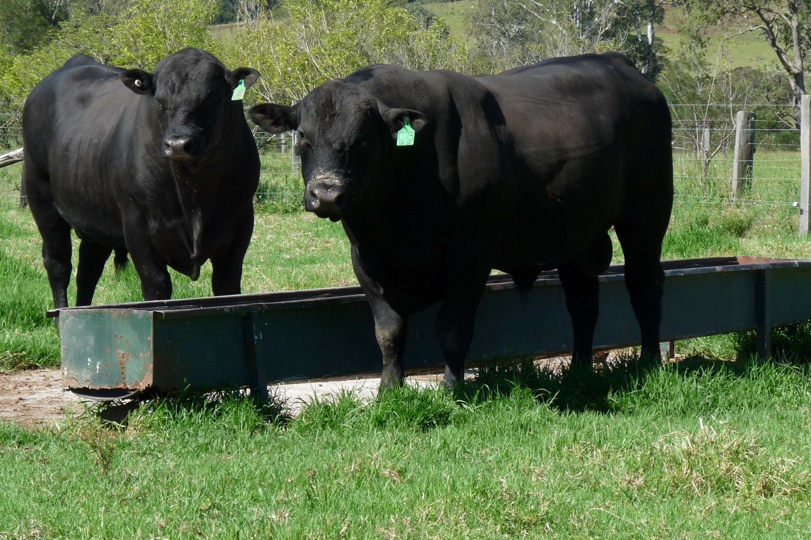 1 bedrooms House in  GLOUCESTER NSW, 2422