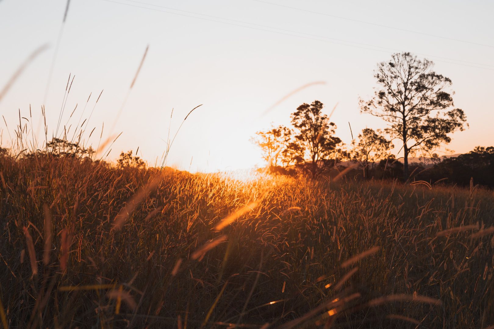 Runnymede Road, Kyogle NSW 2474 House for Sale Domain