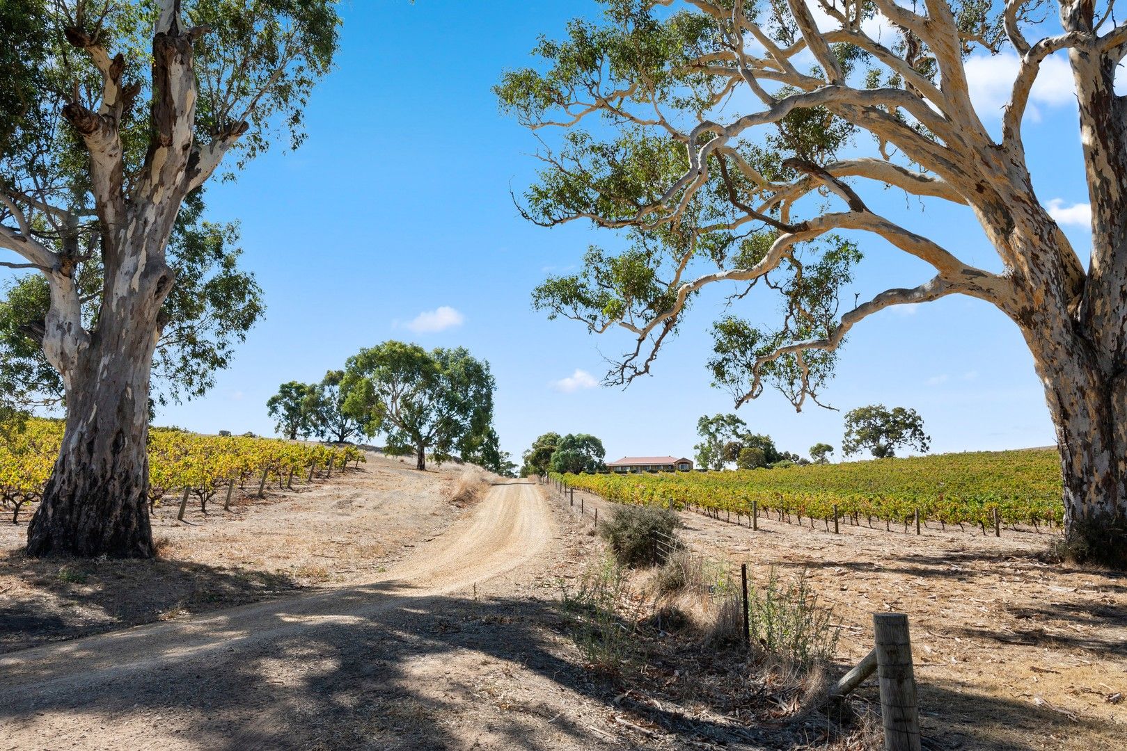 133 Rhine Park Road, Eden Valley SA 5235, Image 0